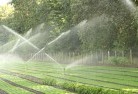 Lowoodlandscaping-water-management-and-drainage-17.jpg; ?>